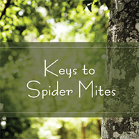 Keys to Spider Mites Texas A&M Forest Service Podcast Hosted by Paul Johnson Keys to Spider Mites Texas A&M Forest Service Podcast Hosted by Paul Johnson